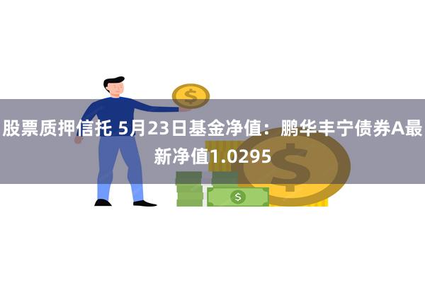 股票质押信托 5月23日基金净值：鹏华丰宁债券A最新净值1.0295