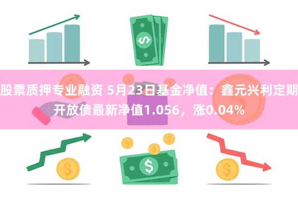 股票质押专业融资 5月23日基金净值：鑫元兴利定期开放债最新净值1.056，涨0.04%