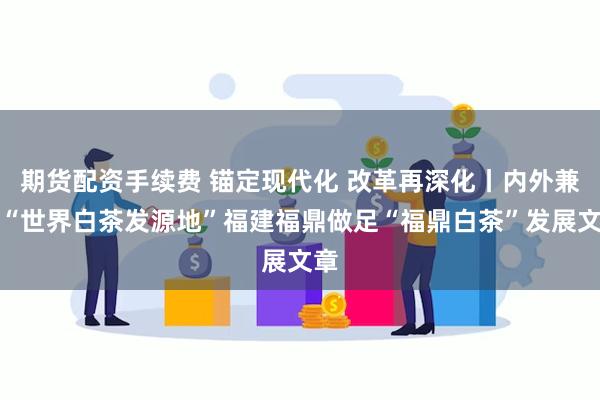 期货配资手续费 锚定现代化 改革再深化丨内外兼修“世界白茶发源地”福建福鼎做足“福鼎白茶”发展文章