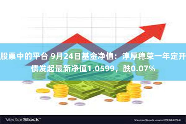 股票中的平台 9月24日基金净值：淳厚稳荣一年定开债发起最新净值1.0599，跌0.07%