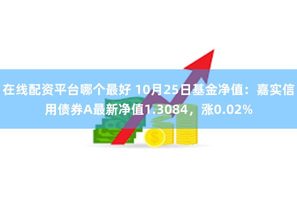 在线配资平台哪个最好 10月25日基金净值：嘉实信用债券A最新净值1.3084，涨0.02%