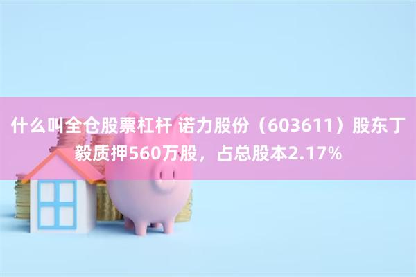 什么叫全仓股票杠杆 诺力股份（603611）股东丁毅质押560万股，占总股本2.17%