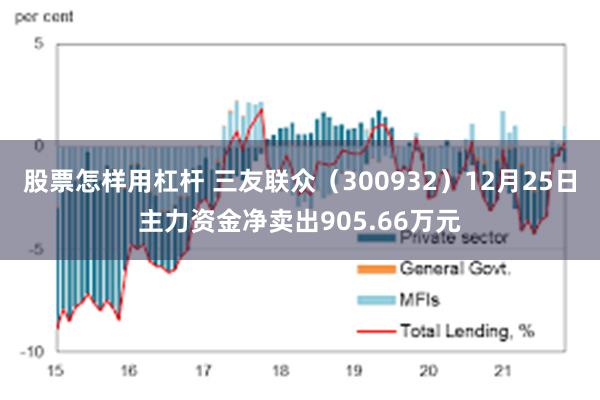 股票怎样用杠杆 三友联众（300932）12月25日主力资金净卖出905.66万元