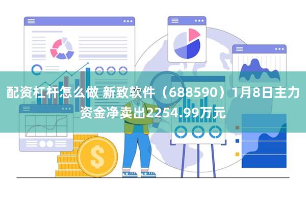 配资杠杆怎么做 新致软件（688590）1月8日主力资金净卖出2254.99万元